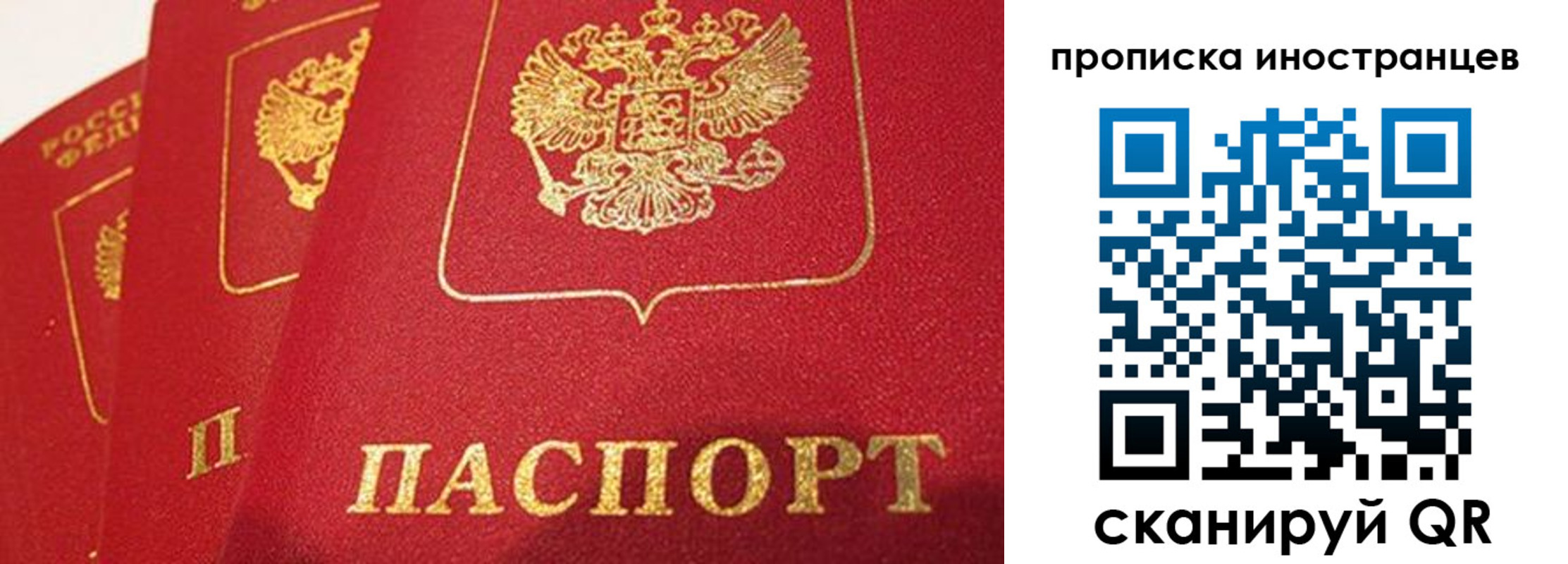 прописка для школы в Миассе